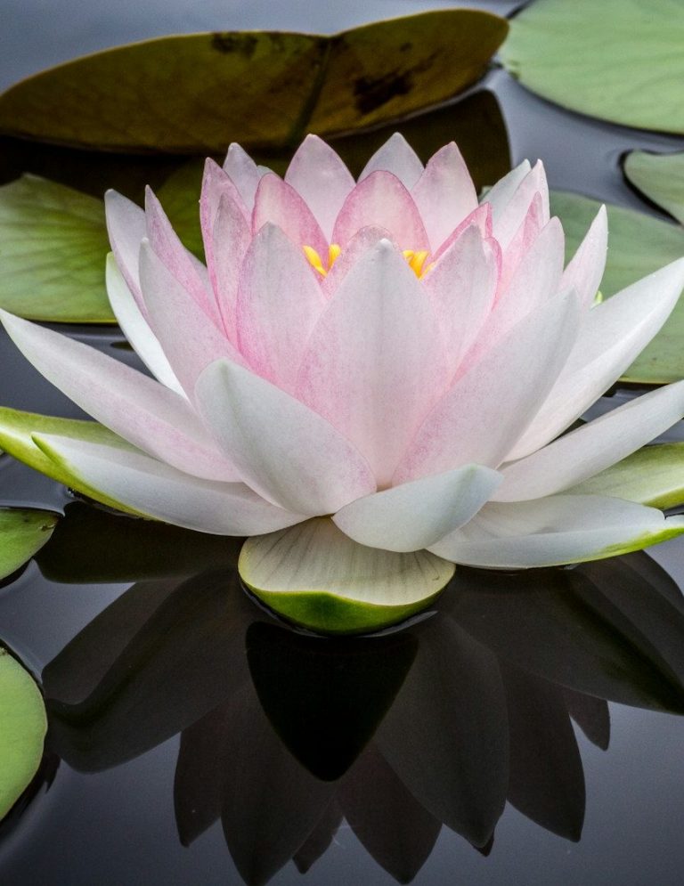 yoga entreprise Clermont-Ferrand